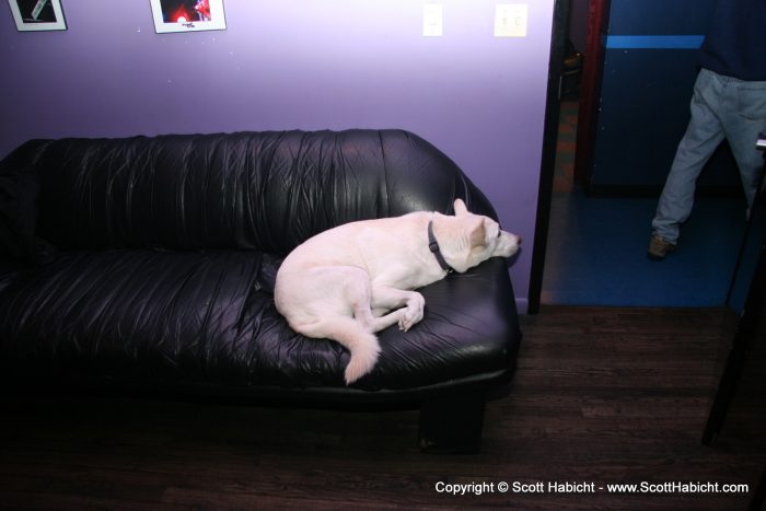 Puna watches as everyone files downstairs for the show.